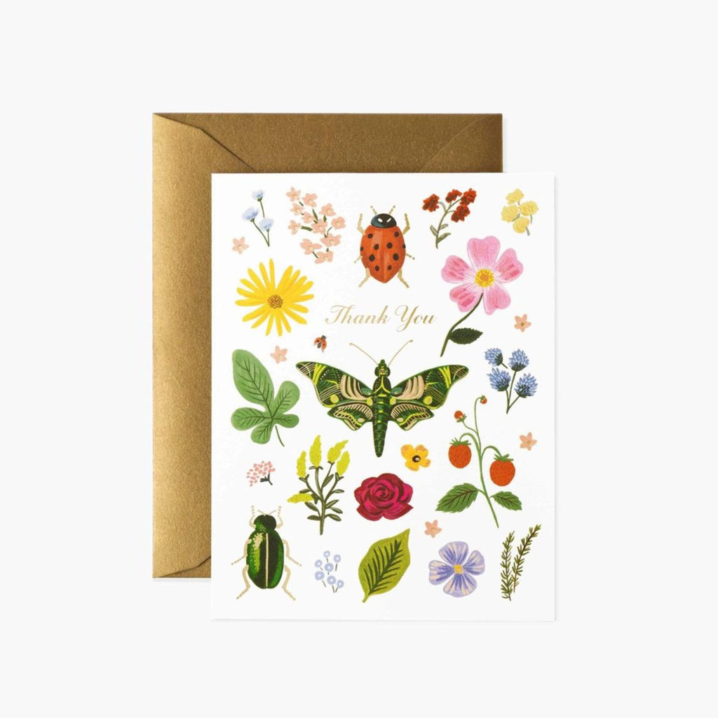 curio nature thank you card with blank interior